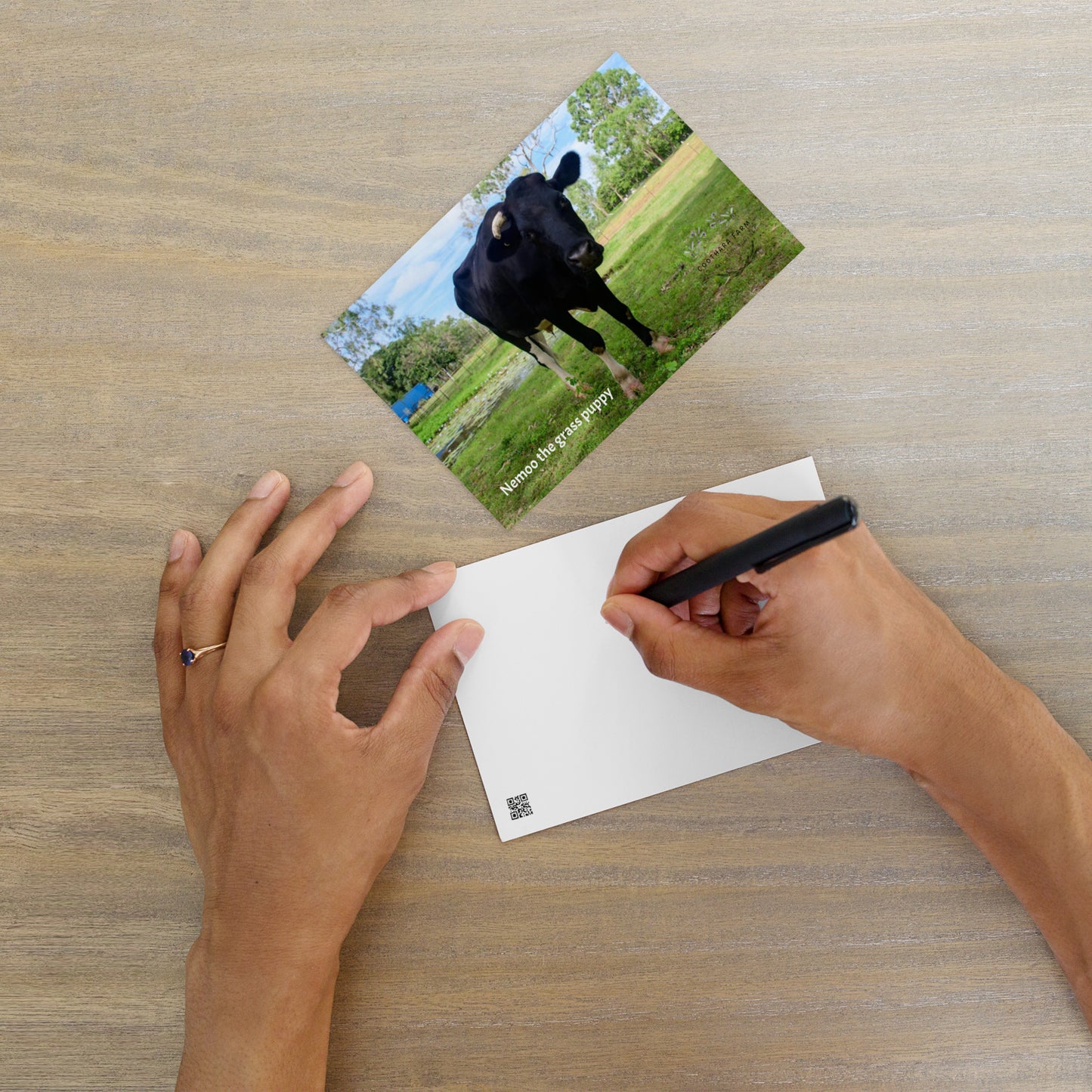 Standard Postcard