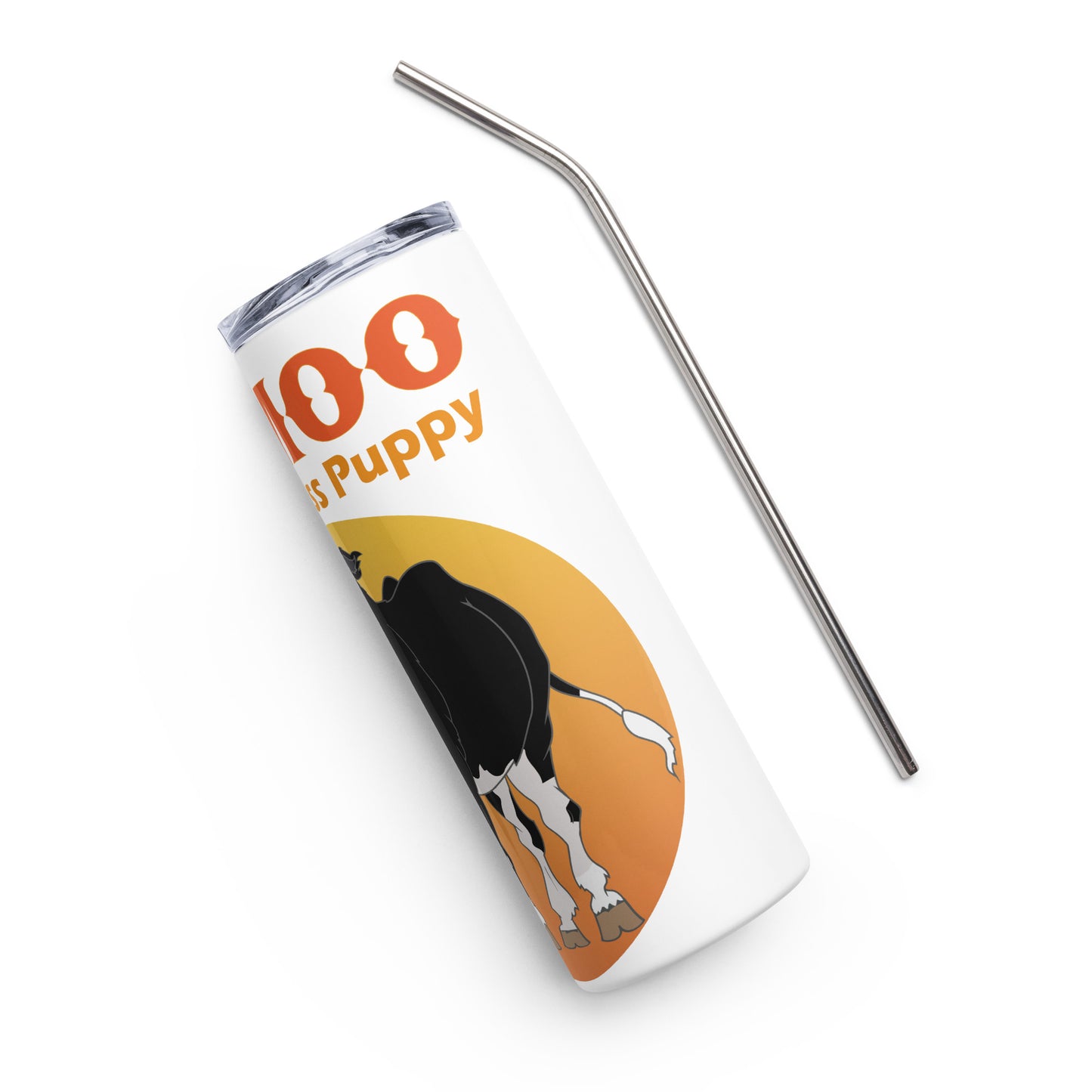 Stainless steel tumbler
