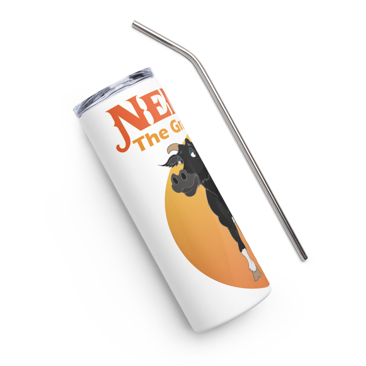 Stainless steel tumbler