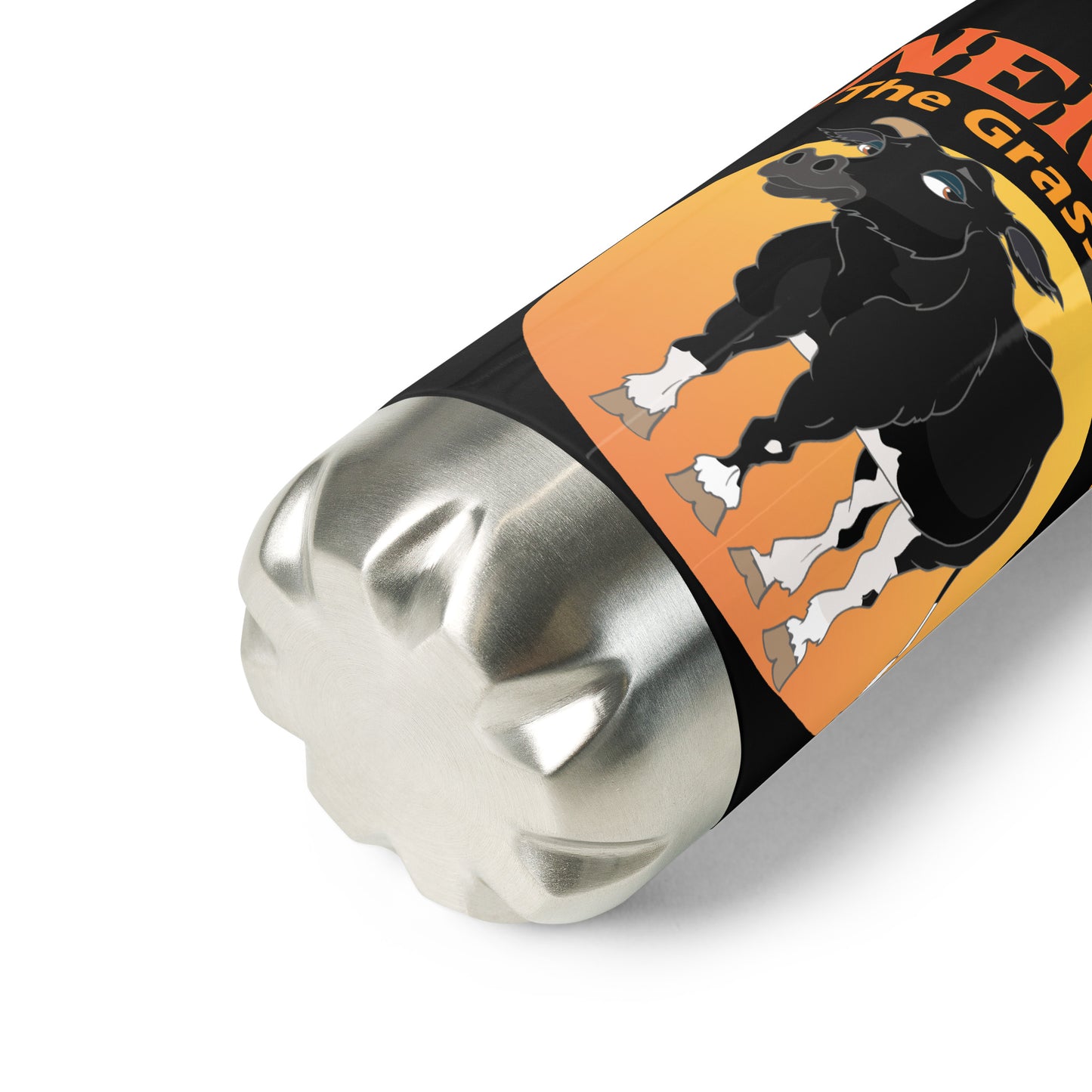Stainless Steel Water Bottle