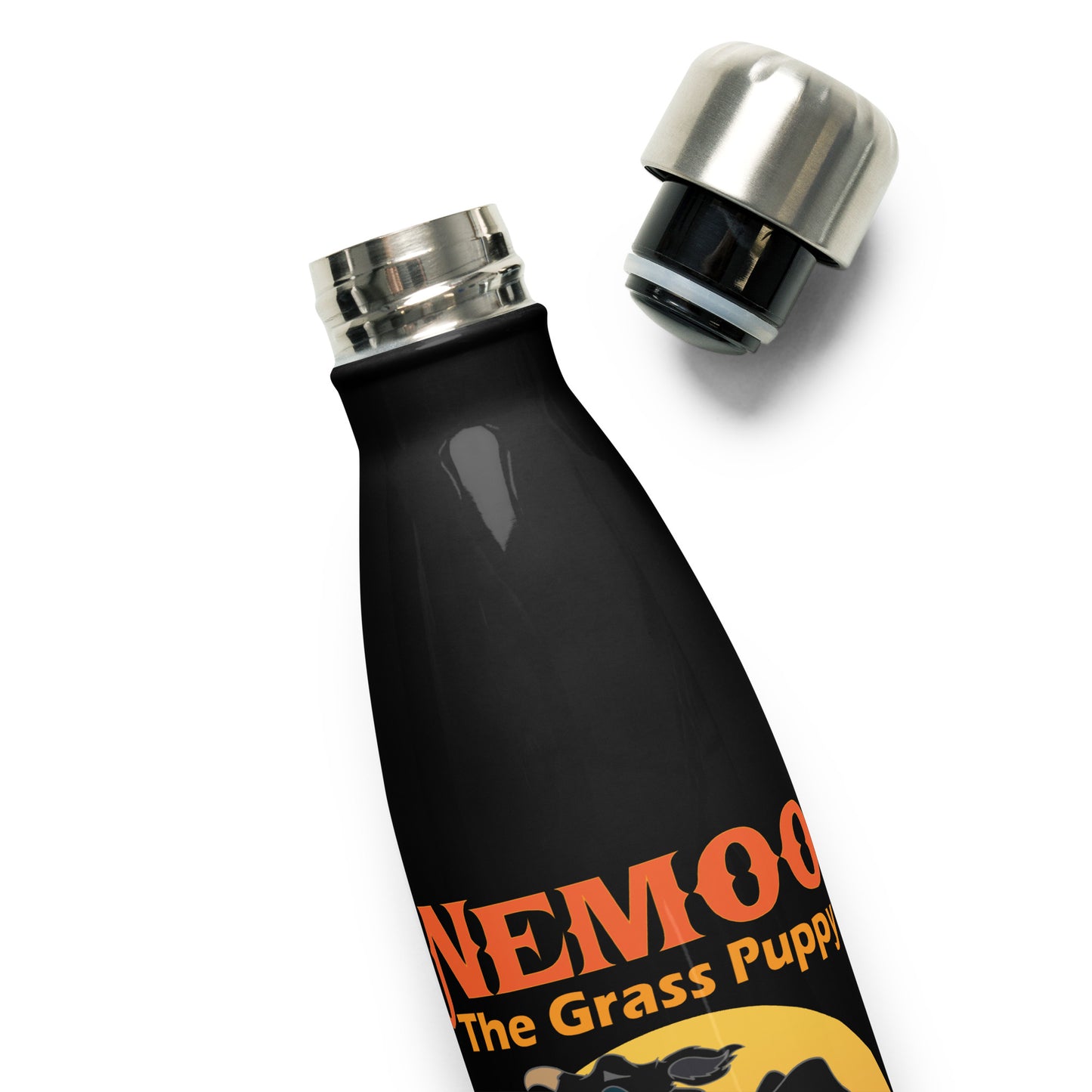 Stainless Steel Water Bottle