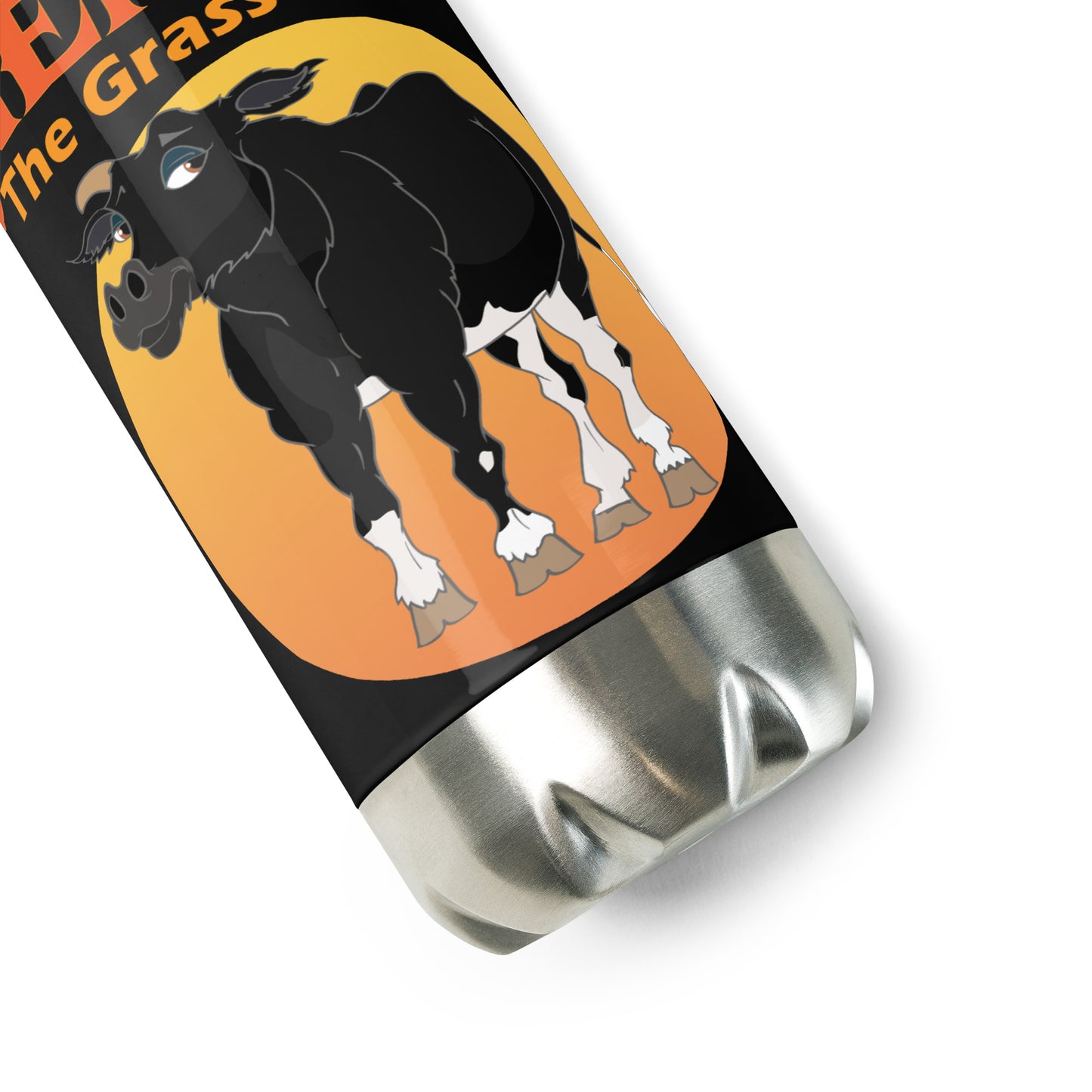 Stainless Steel Water Bottle