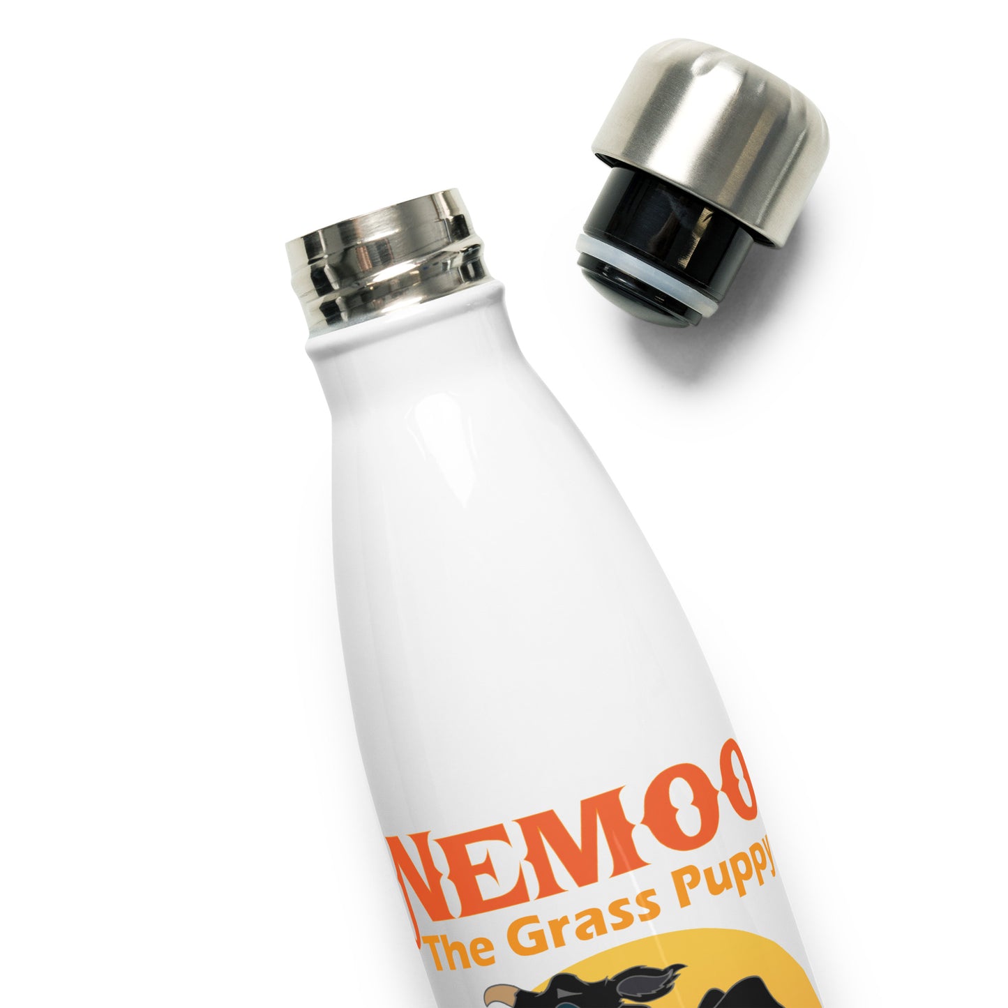 Stainless Steel Water Bottle