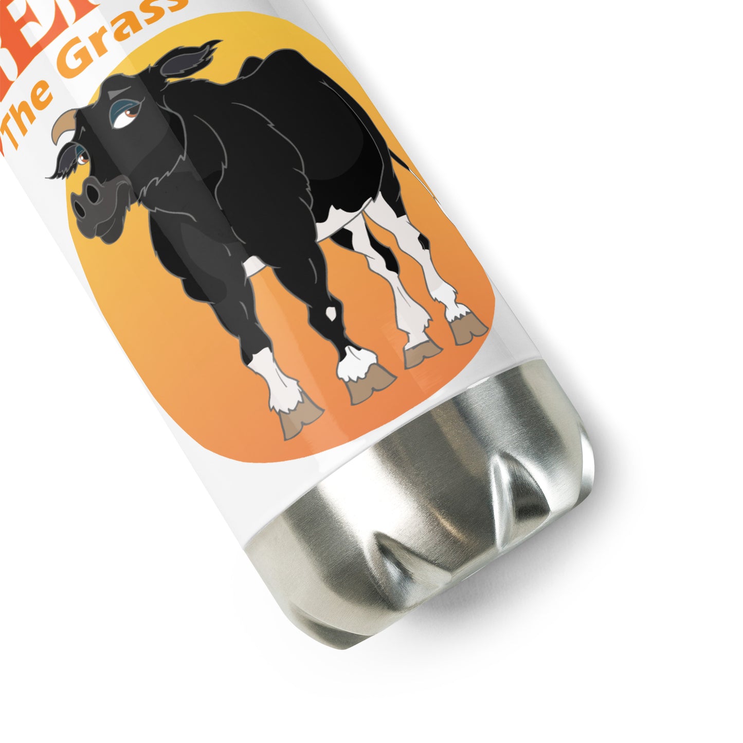 Stainless Steel Water Bottle