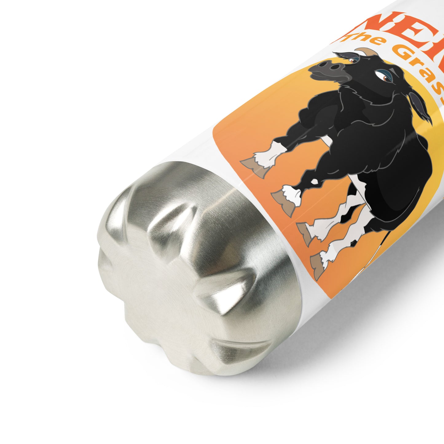 Stainless Steel Water Bottle