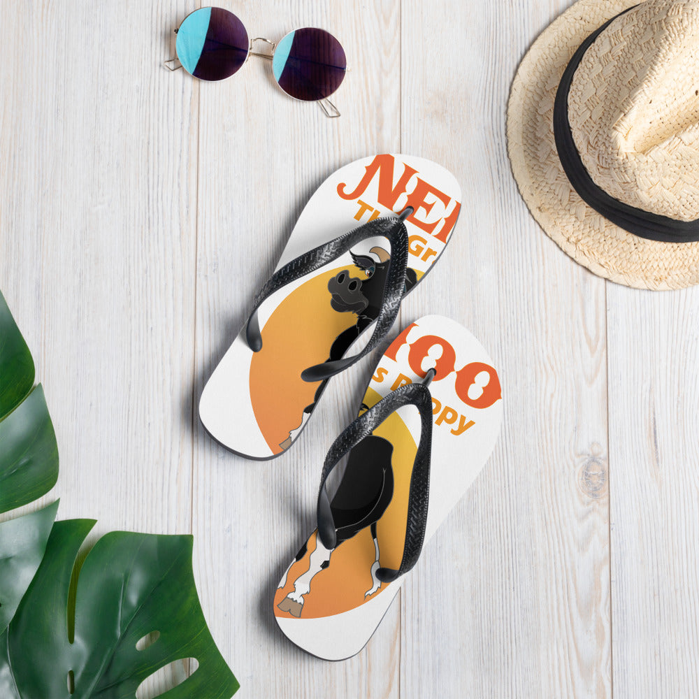 Flip-Flops