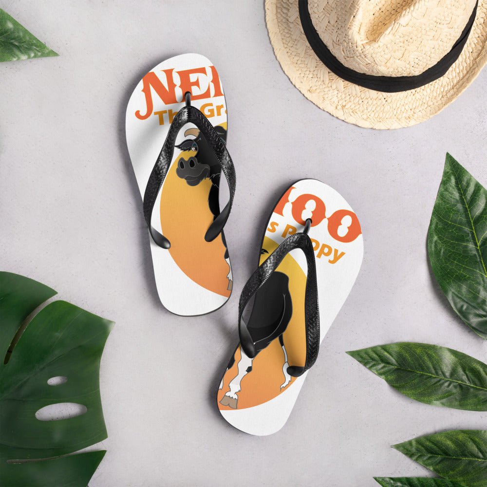 Flip-Flops